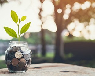 Jar full of coins with a plant growing out of it