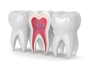 Inside of a tooth