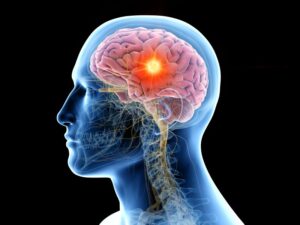 Illustration of brain inside human head